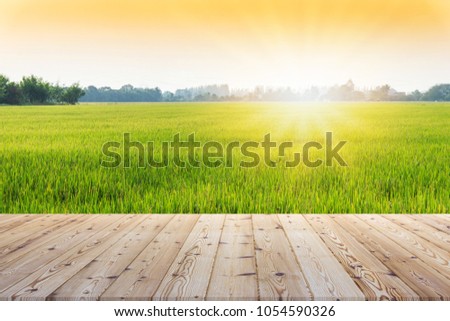 Perspective brown wooden board empty table in front of paddy field in morning time with sunlight on background - can be used for display or montage your products.Mock up for display of product.
 Royalty-Free Stock Photo #1054590326