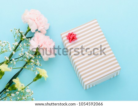 Mother's Day, Carnation, a picture of the gift
