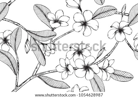  Hawaiian pattern seamless background with Plumeria flower and leaf  drawing illustration.  Royalty-Free Stock Photo #1054628987