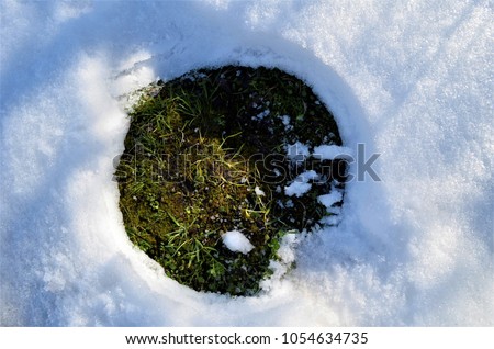 Black deep round vertical burrow in the ground among the snow in winter. Someone dug a regular geometric pit on the surface winter lawn among dry grass and white snow