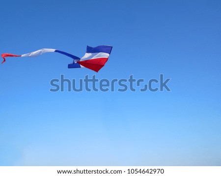 A kite on the bright sky