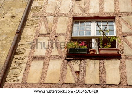 Three Flower pots placed at the window