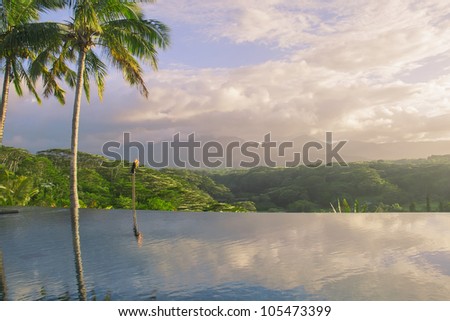 Reflections of palm trees in the pool, tropical island of Kauai, Hawaii. Sunset. Horizontal picture