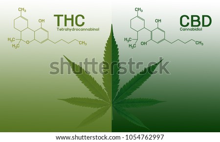 Image cannabis of the formula CBD-THC Royalty-Free Stock Photo #1054762997