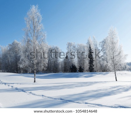 Beautiful winter wallpaper. Cold wintry scenery in Finland on a sunny and cold morning. Frosty trees and snowy ground.