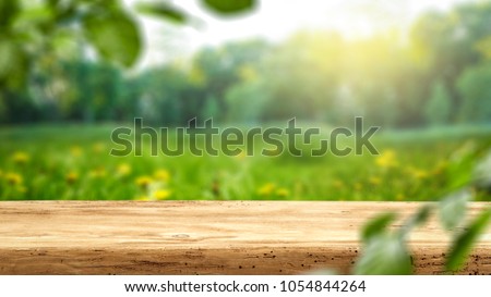 Table background and spring time  Royalty-Free Stock Photo #1054844264