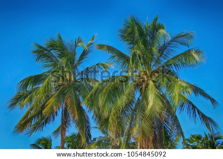 Beautiful green palm trees against the background of summer blue sky.