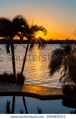 Scenic Sarasota Bay sunset through palm trees