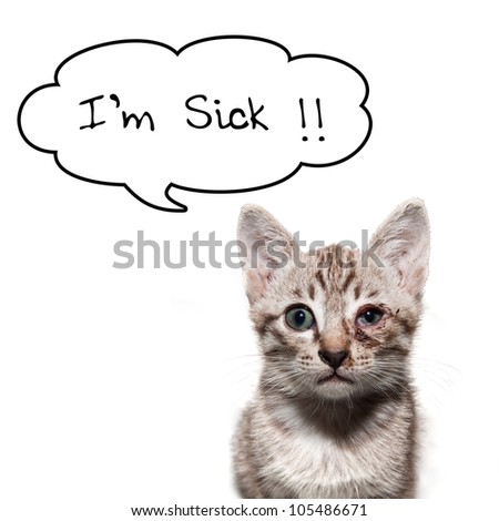 sick cat with "I'm sick!!"