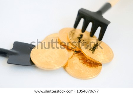 gold bitcoin on white background