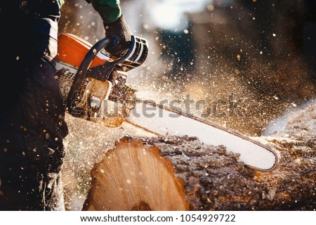 Woodcutter saws tree with chainsaw on sawmill Royalty-Free Stock Photo #1054929722