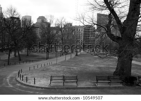 solemn looking black and white image of the boston commons on a winters day