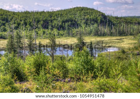 Gunflint trail is a 50 mile road winding through the Superior National Forest with no towns