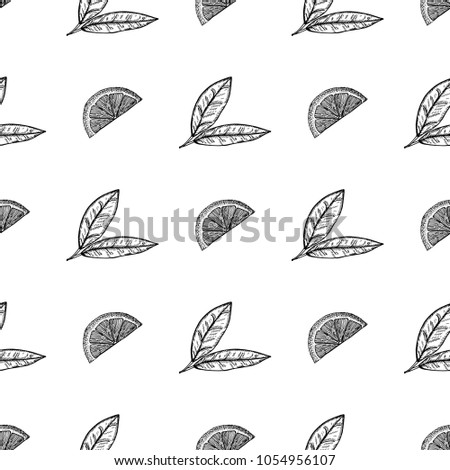 Seamless pattern of hand drawn sketch style Lemon.Vector illustration isolated on white background 