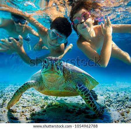 Underwater photo of children snorkeling and swimming with tropical sea turtle. Selective focus, blurred background