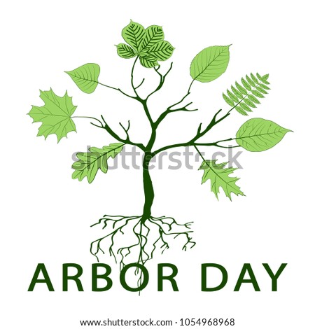   Arbor Day of a tree with roots and leaves. Vector illustration