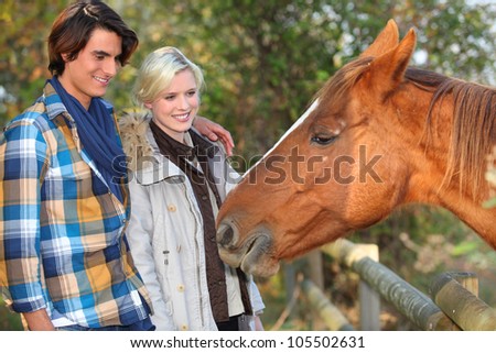 Meeting a horse