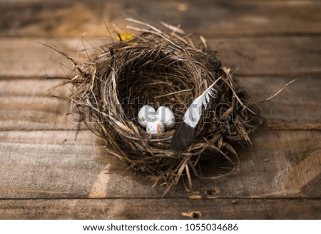 A birds nest resting on a rustic wooden table containing three small white and brown eggs.