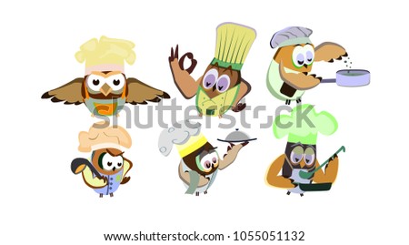 Funny owls, set on a chef theme, on an isolated background