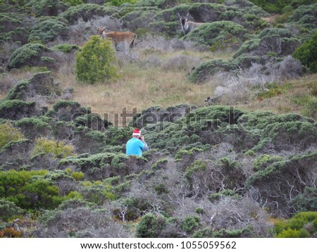 Taking Pictures of Eland Antelopes near Cape of Good Hope, South Africa