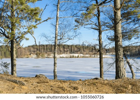 Beautiful nature and landscape photo of sunny spring day in Sweden Scandinavia Europe. Nice outdoors image with ice lake, trees and blue sky. Calm, peaceful and happy background picture.