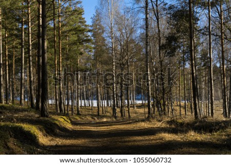 Beautiful nature and landscape photo of sunny spring day in Sweden Scandinavia Europe. Nice outdoors image with ice lake, trees and blue sky. Calm, peaceful and happy background picture.