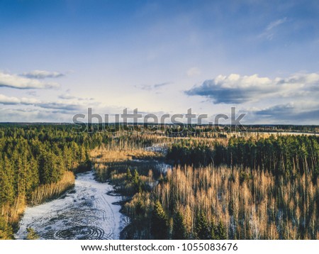 Aerial Photography of a Bright Forest in Sunny Winter Day with a nice Blue Skies in the Background - Vintage look edit