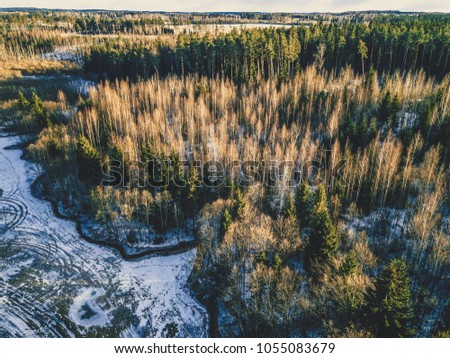 Aerial Photography of a Bright Forest in Sunny Winter Day with a nice Blue Skies in the Background - Vintage look edit