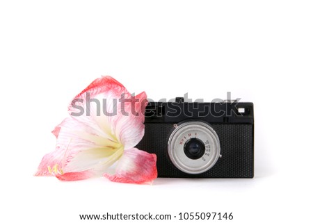 retro camera and flower on white background