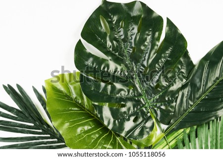 Tropical Leaves Background isolated on white, top view