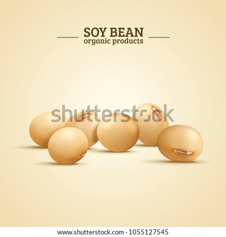 Soy bean elements, organic and natural food in 3d illustration Royalty-Free Stock Photo #1055127545