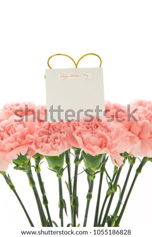 Happy Mother's Day, carnations representing mothers are in full bloom, and pink carnations are sent.