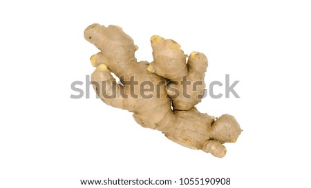 Ginger (Zingiber officinale), fresh rhizome. Studio picture against a white background