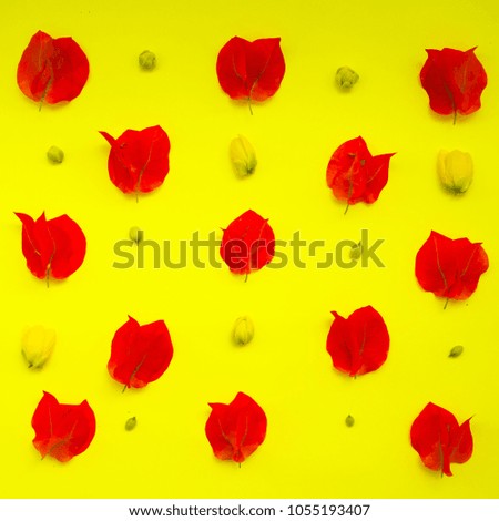 flowers composition. pattern made of bougainvillea on yellow background.  flat lay, top view. summer concept 