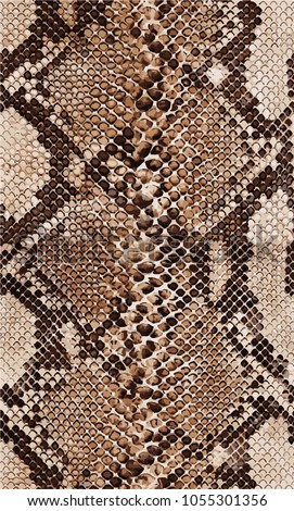 Snake pattern and animal pattern