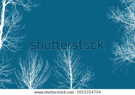 White trees and blue sky texture