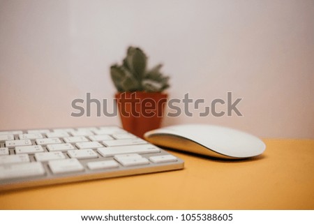 front view business table background with keyboard, mouse and plant place on table. image for copy space, desktop, workplace, workspace, object, technology, isolated, education concept