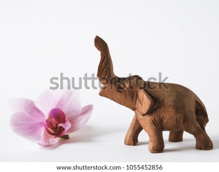 Wooden elephant and orchid on a white background