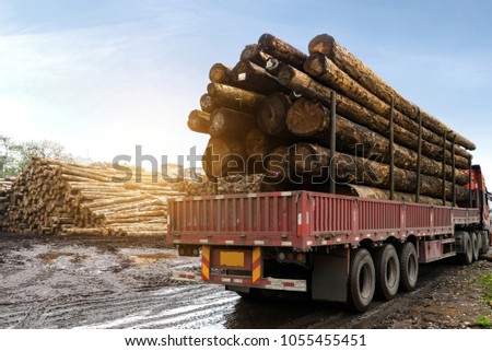 The train transported wood in a wood processing plant Royalty-Free Stock Photo #1055455451