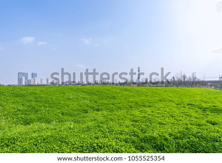 green lawn with modern building