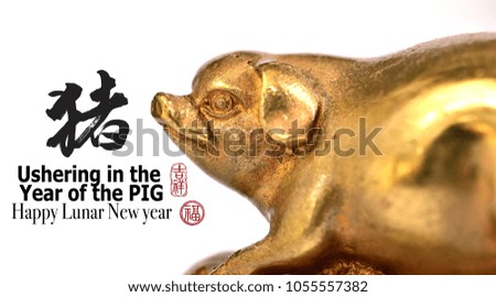 Golden pig isolated on white background with chinese calligraphy, Translation: pig