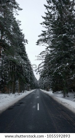The bitumen road through a spruce forest in winter conditions connecting Koszalin and Polanów towns in Poland. The photo taken during light snowfall.