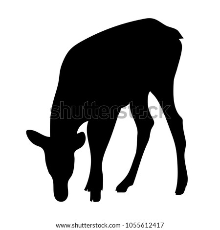 Vector standing doe silhouette deer drinking water or eating grass 