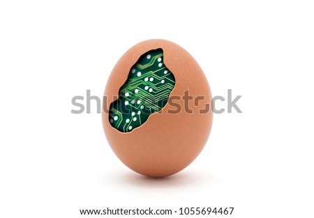 Computer egg isolated on white with clipping path  Royalty-Free Stock Photo #1055694467