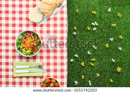 Picnic salad meal on a checked tablecloth, grass and flowers on the background