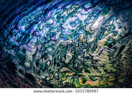 Nature texture pattern of nacre mother-of-pearl inner side of Paua, Perlemoen or Abalone shell close up abstract background Royalty-Free Stock Photo #1055780987