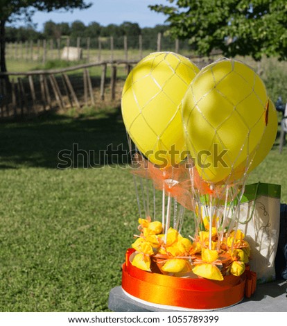picture of hot air balloons with balloons in the garden