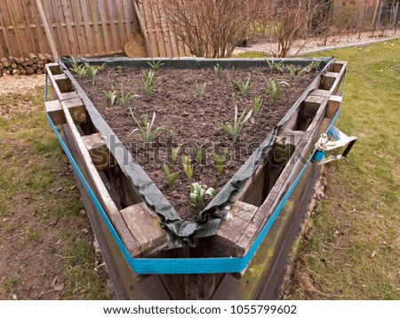 A raised bed in the garden in the shape of a triangle freshly planted Royalty-Free Stock Photo #1055799602