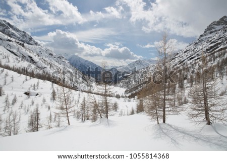 Snow capped mountains in valley, forest and blue cloudy sunny skies