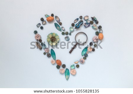Heart symbol made of dried flowers, leaves and plant parts with magnifying glass on pastel blue background minimal creative flat lay concept.